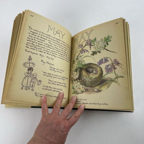 The Country Diary of an Edwardian Lady by Holden Edith Hardcover 1977 DJ 1st Ed - Picture 15 of 16